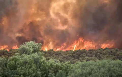 اليونان تحت نيران الحرائق وموجة حر قياسية تُهدد بكارثة جديدة